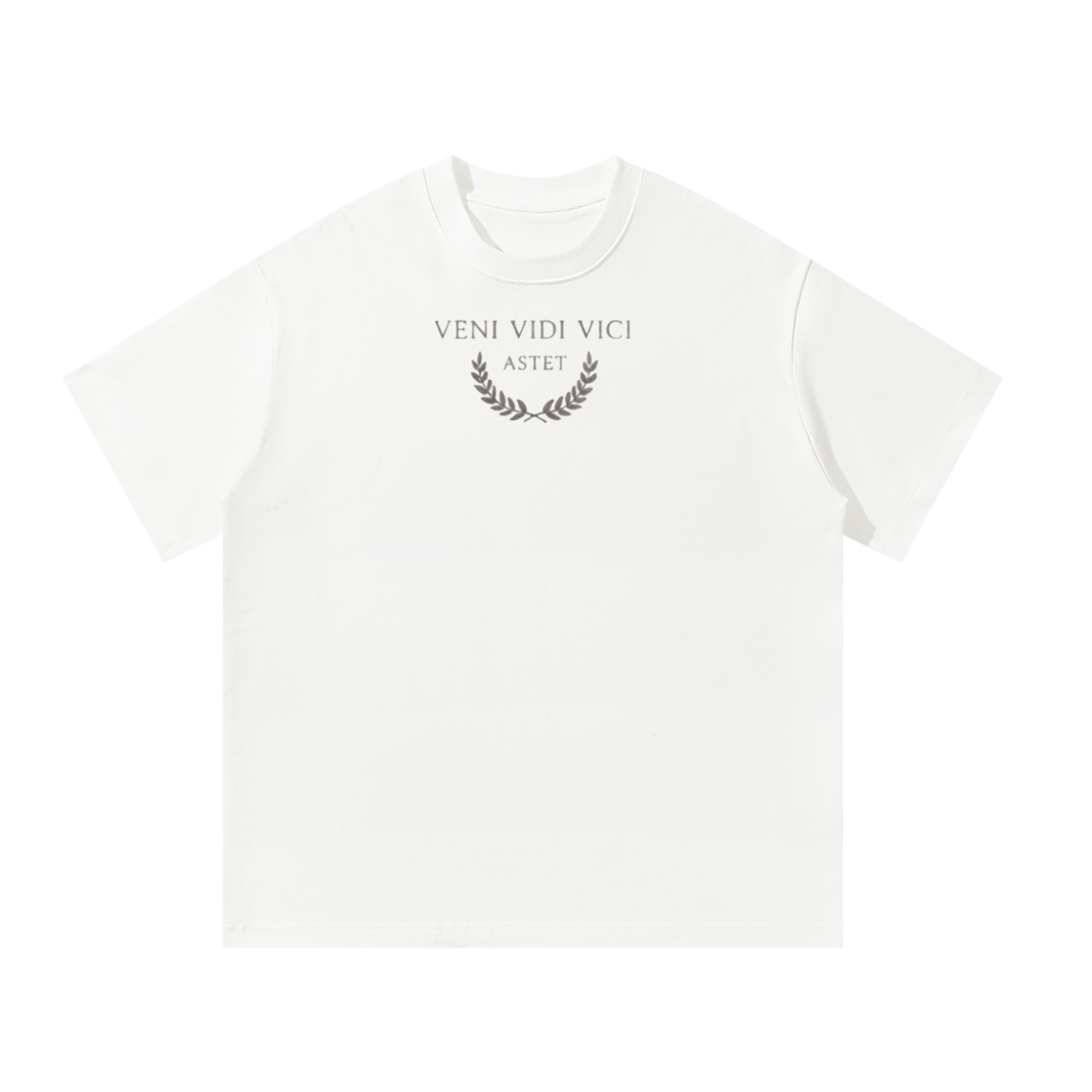 venividivici,initium,initiumseries,astet,astetclothing,streetwear,luxurystreetwear,oversizedtee,graphictee,premiumcotton,heavyweighttee,boxyfit,vintagewash,gothicfashion,latinfashion,statement,minimalstreetwear,limiteddrop,exclusivepiece,collectersitem,unisexfashion,highendstreetwear
