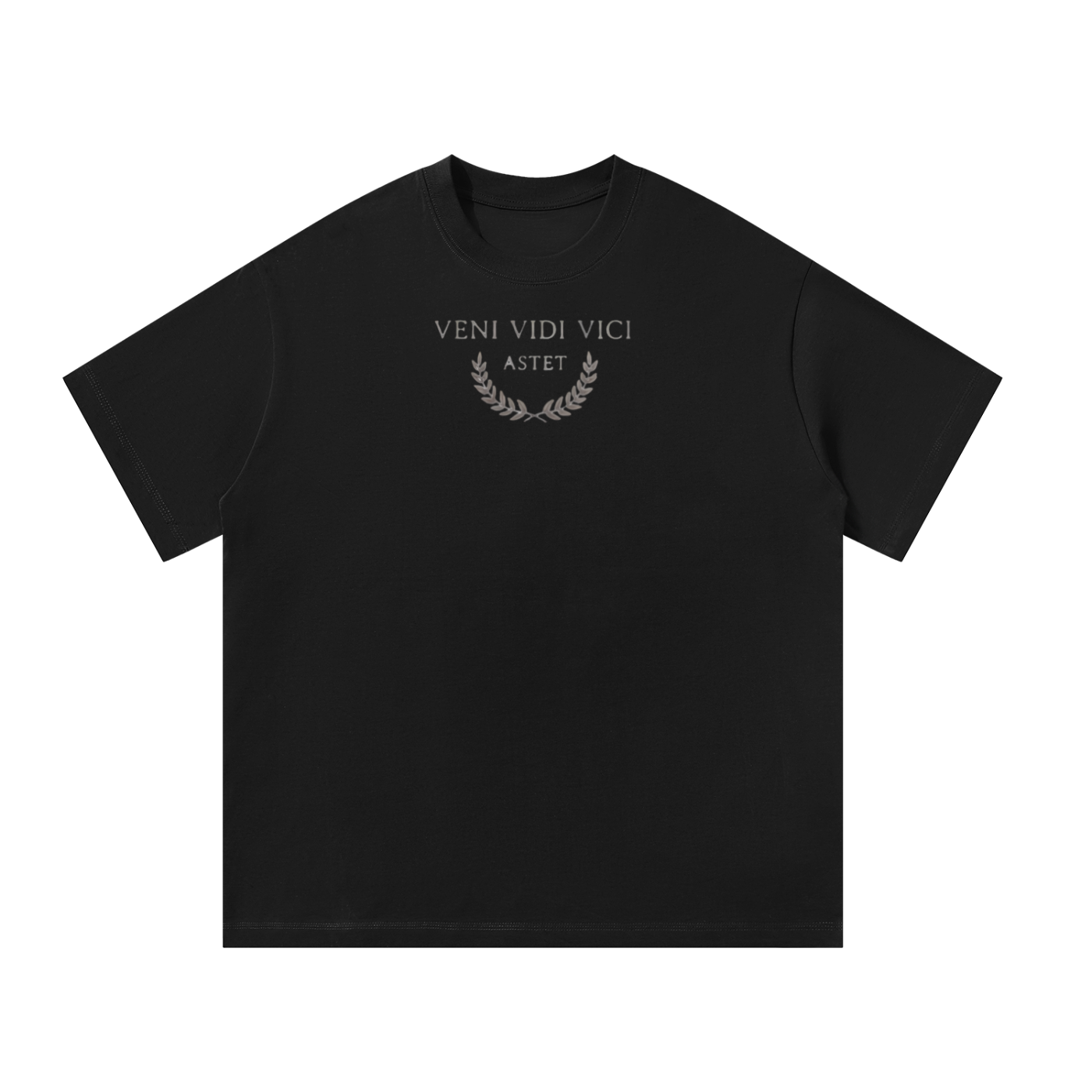 venividivici,initium,initiumseries,astet,astetclothing,streetwear,luxurystreetwear,oversizedtee,graphictee,premiumcotton,heavyweighttee,boxyfit,vintagewash,gothicfashion,latinfashion,statement,minimalstreetwear,limiteddrop,exclusivepiece,collectersitem,unisexfashion,highendstreetwear